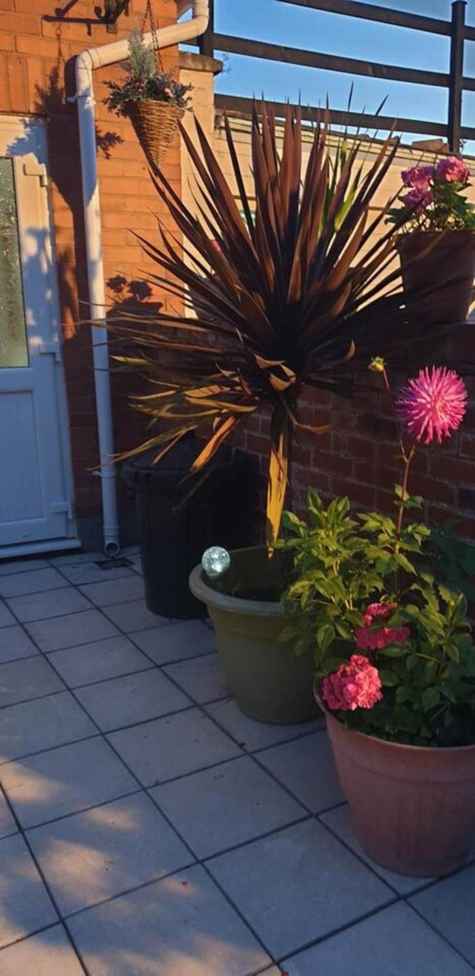 Appartement Cosy Corner - Town Centre Flat With Free Nearby Parking à Shrewsbury Extérieur photo